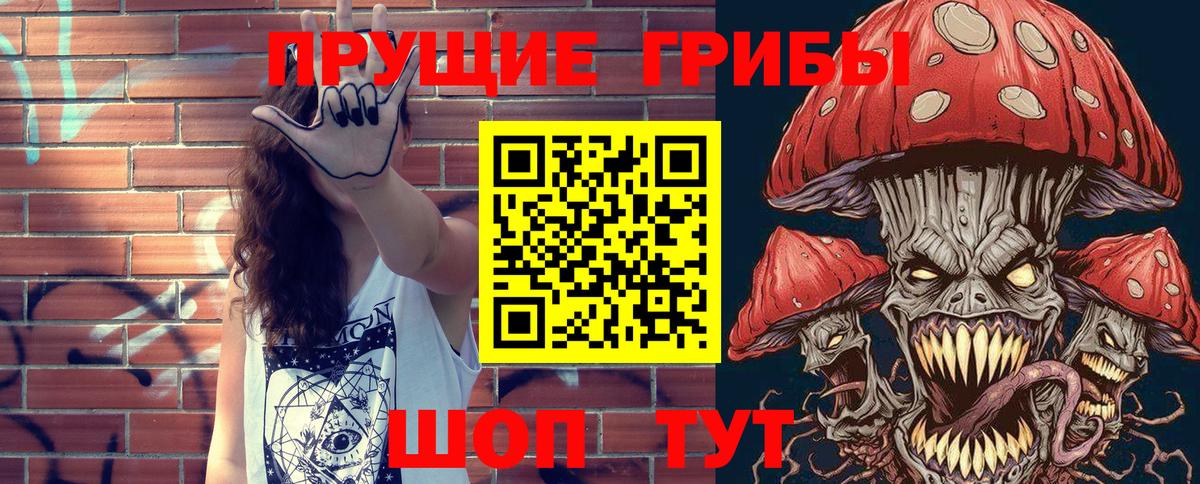 Псилоцибиновые грибы Psilocybe Сертолово
