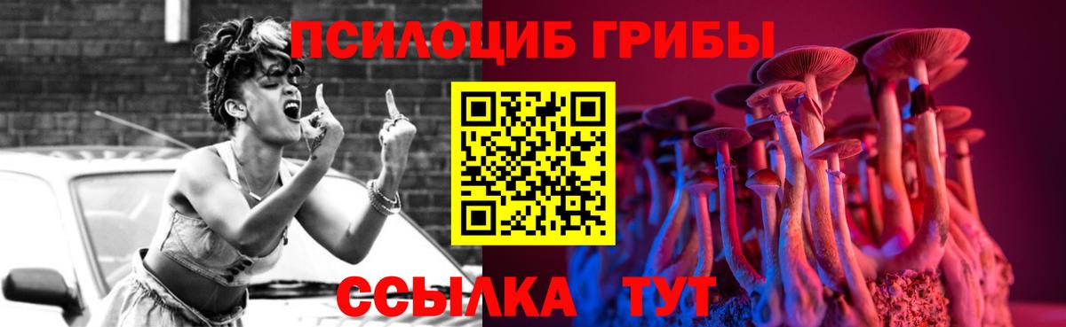 Галлюциногенные грибы Psilocybine cubensis  Вход с VPN  Псилоцибиновые грибы Cubensis  Сертолово 